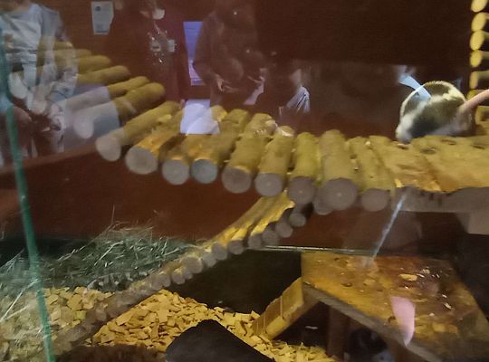 Gr. I i II Wycieczka do Tuchlina "Egzotyczne zoo"