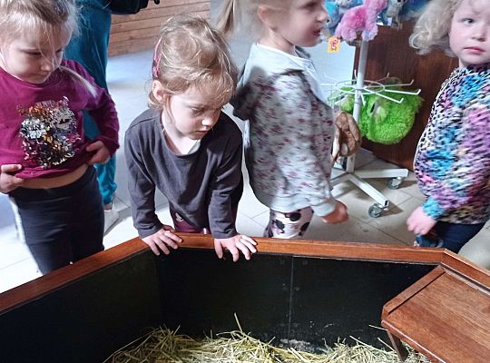 Gr. I i II Wycieczka do Tuchlina "Egzotyczne zoo"