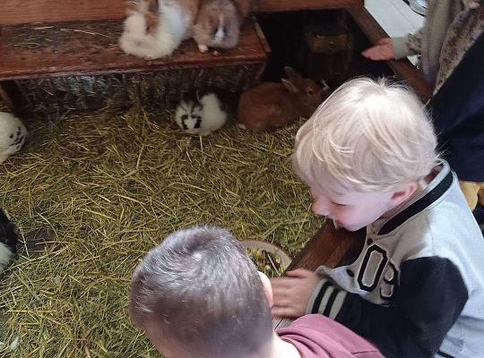 Gr. I i II Wycieczka do Tuchlina "Egzotyczne zoo"