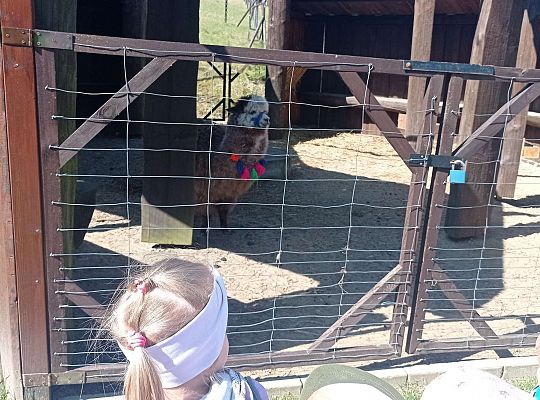 Gr. I i II Wycieczka do Tuchlina "Egzotyczne zoo"