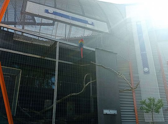 Gr. I i II Wycieczka do Tuchlina "Egzotyczne zoo"