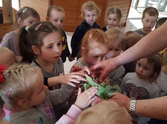 Gr. I i II Wycieczka do Tuchlina "Egzotyczne zoo"