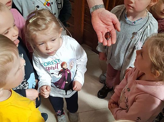 Gr. I i II Wycieczka do Tuchlina "Egzotyczne zoo"