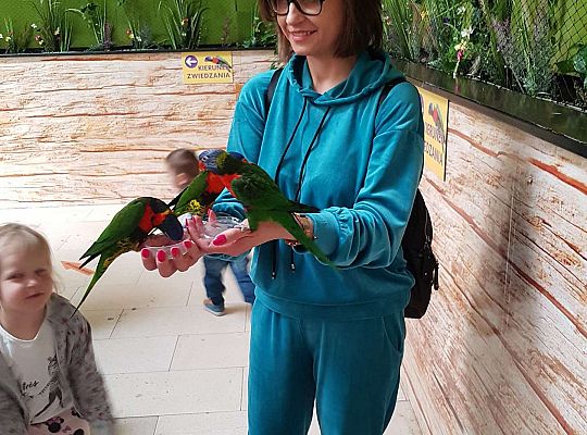 Gr. I i II Wycieczka do Tuchlina "Egzotyczne zoo"