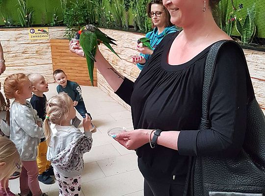 Gr. I i II Wycieczka do Tuchlina "Egzotyczne zoo"