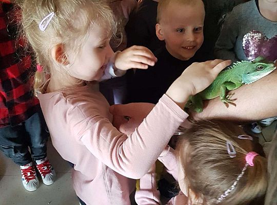 Gr. I i II Wycieczka do Tuchlina "Egzotyczne zoo"