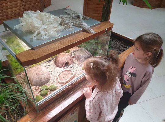 Gr. I i II Wycieczka do Tuchlina "Egzotyczne zoo"