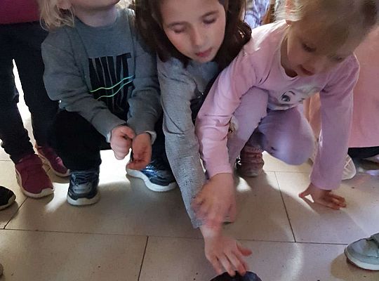 Gr. I i II Wycieczka do Tuchlina "Egzotyczne zoo"