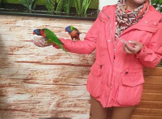 Gr. I i II Wycieczka do Tuchlina "Egzotyczne zoo"