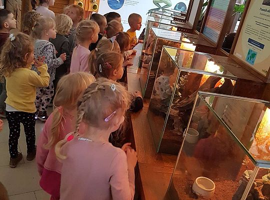 Gr. I i II Wycieczka do Tuchlina "Egzotyczne zoo"