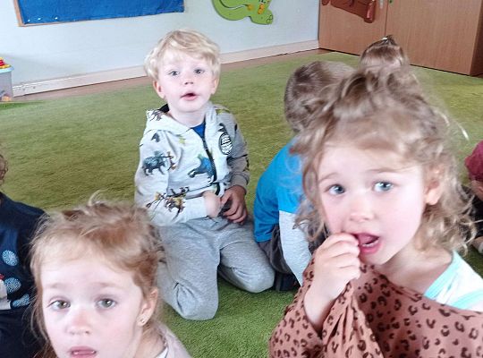 Ósma lekcja "Zielona Ziemia"