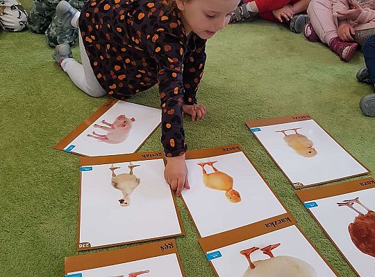 Gr. I "Rodzina" - zajęcia z okazji Dnia Rodziny