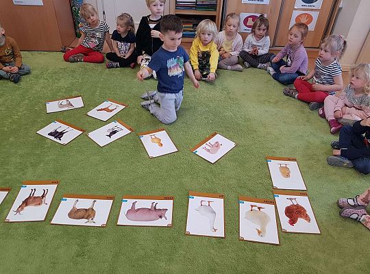 Gr. I "Rodzina" - zajęcia z okazji Dnia Rodziny