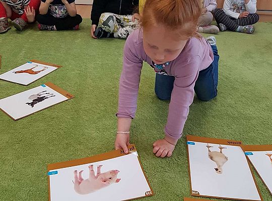 Gr. I "Rodzina" - zajęcia z okazji Dnia Rodziny