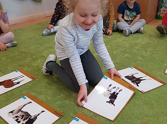 Gr. I "Rodzina" - zajęcia z okazji Dnia Rodziny