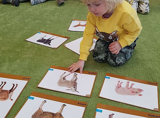 Gr. I "Rodzina" - zajęcia z okazji Dnia Rodziny