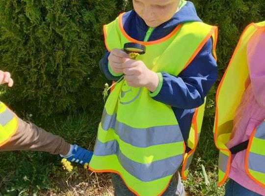 Gr. II Wiosna w ogrodzie i na łące