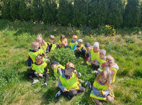 Gr. II Wiosna w ogrodzie i na łące