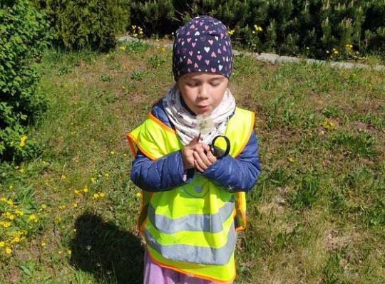 Gr. II Wiosna w ogrodzie i na łące