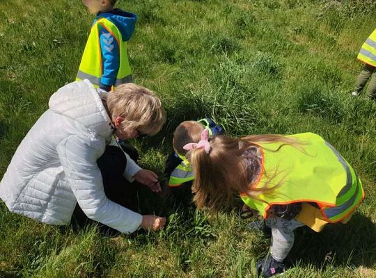 Gr. II Wiosna w ogrodzie i na łące