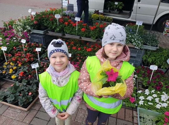 Gr. II Wiosna w ogrodzie i na łące