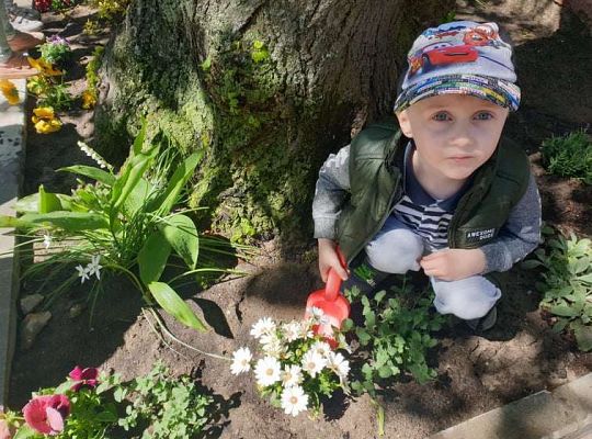 Gr. II Wiosna w ogrodzie i na łące