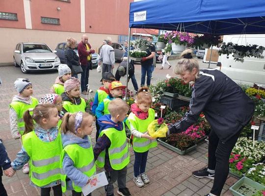Gr. II Wiosna w ogrodzie i na łące