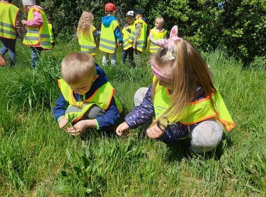 Gr. II Wiosna w ogrodzie i na łące