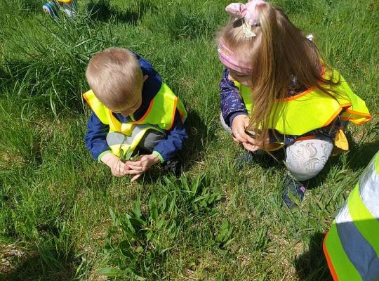 Gr. II Wiosna w ogrodzie i na łące