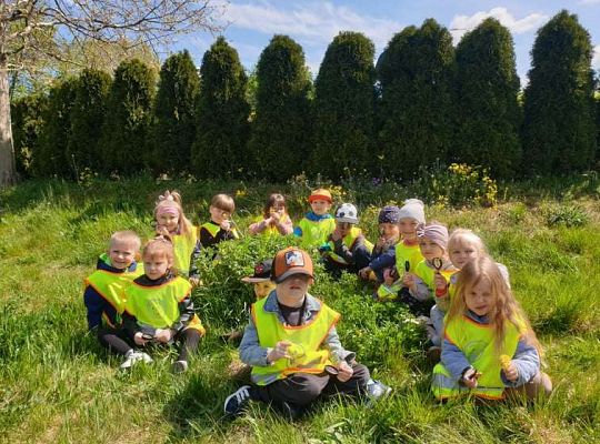 Gr. II Wiosna w ogrodzie i na łące