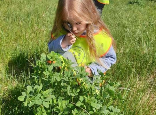 Gr. II Wiosna w ogrodzie i na łące