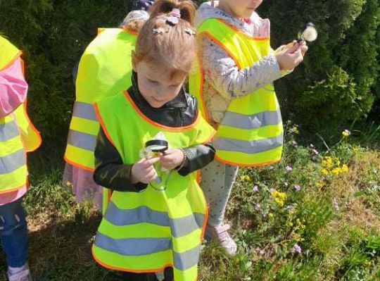 Gr. II Wiosna w ogrodzie i na łące