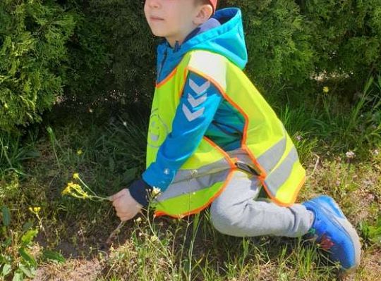 Gr. II Wiosna w ogrodzie i na łące