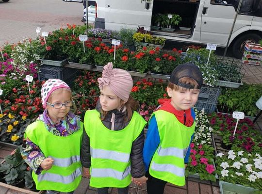 Gr. II Wiosna w ogrodzie i na łące