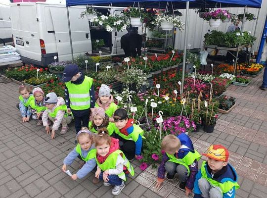 Gr. II Wiosna w ogrodzie i na łące