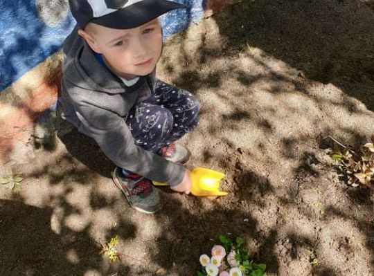 Gr. II Wiosna w ogrodzie i na łące