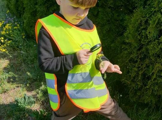 Gr. II Wiosna w ogrodzie i na łące