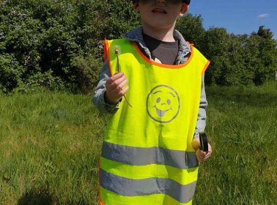 Gr. II Wiosna w ogrodzie i na łące