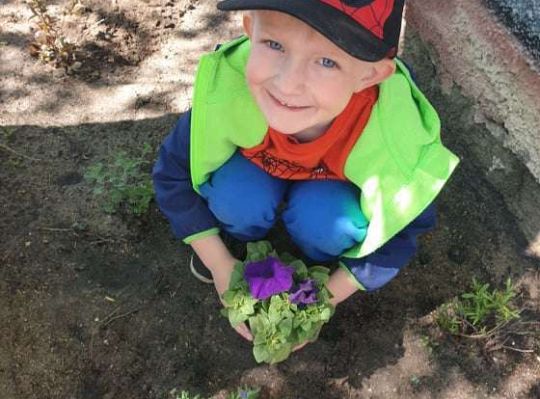 Gr. II Wiosna w ogrodzie i na łące