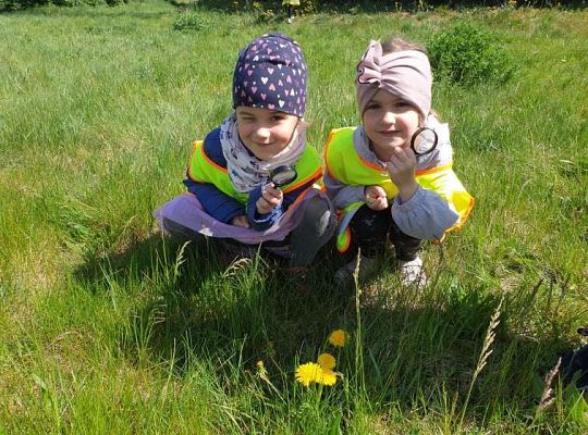 Gr. II Wiosna w ogrodzie i na łące