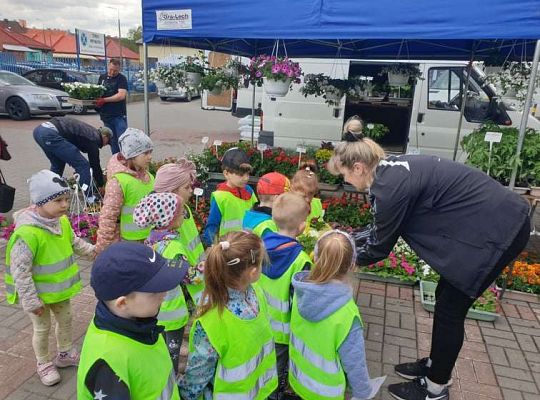 Gr. II Wiosna w ogrodzie i na łące