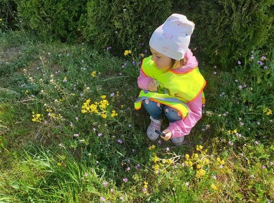 Gr. II Wiosna w ogrodzie i na łące