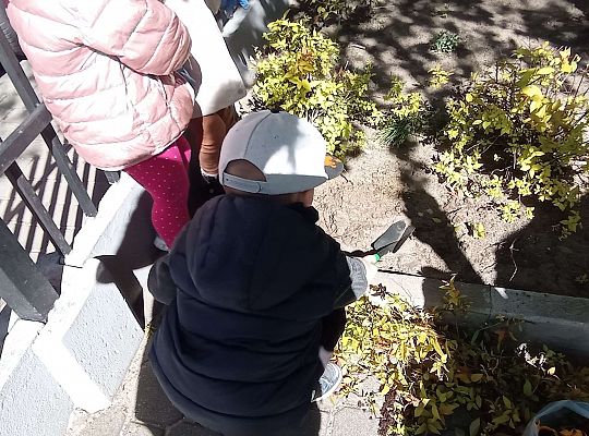 Gr .I Upiększamy nasz ogród