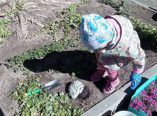 Gr .I Upiększamy nasz ogród