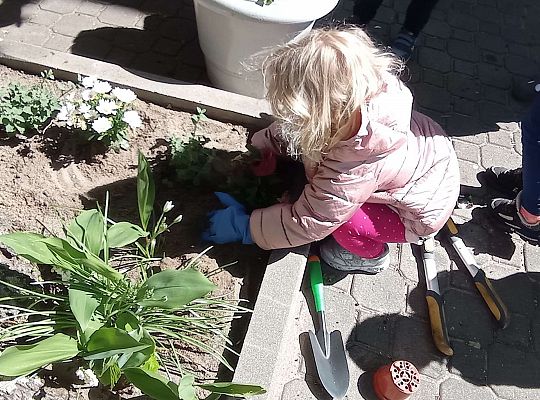 Gr .I Upiększamy nasz ogród