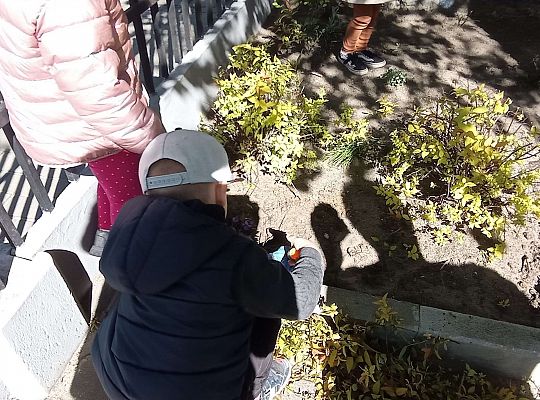 Gr .I Upiększamy nasz ogród