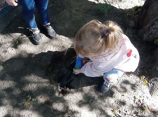 Gr .I Upiększamy nasz ogród