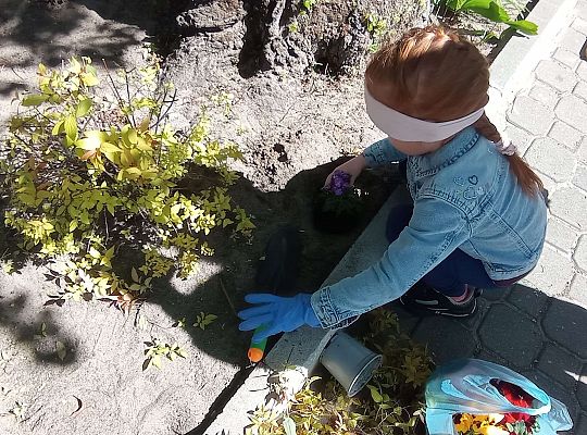 Gr .I Upiększamy nasz ogród