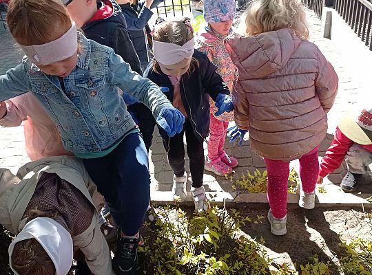 Gr .I Upiększamy nasz ogród