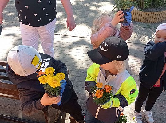 Gr .I Upiększamy nasz ogród